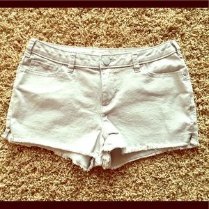 Lauren Conrad Shorts